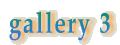gallery 3